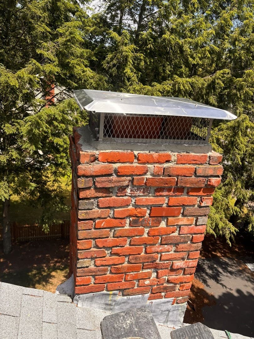 Ace Chimney Services chimney services work photo 6 - Professional chimney cleaning and repair in Park Ridge, Illinois