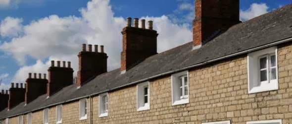 Chimney Cricket thumbnail 2