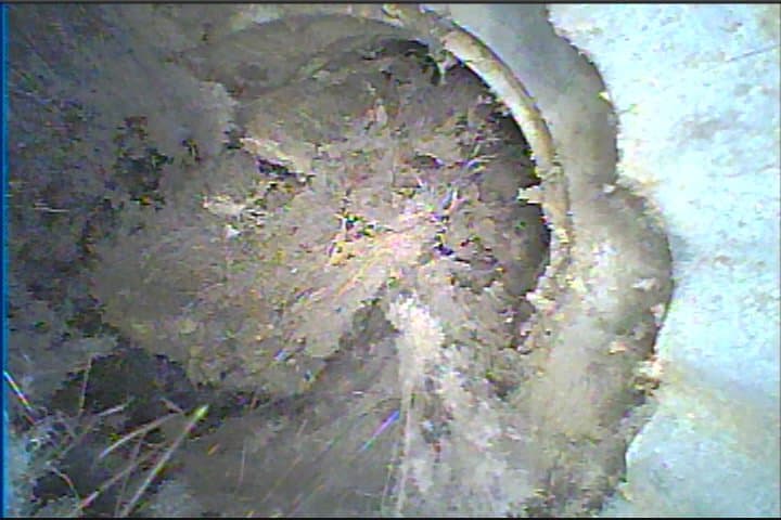 JWG Air Duct & Dryer Vent Cleaning And Chimney Repair Services Of WA thumbnail 2