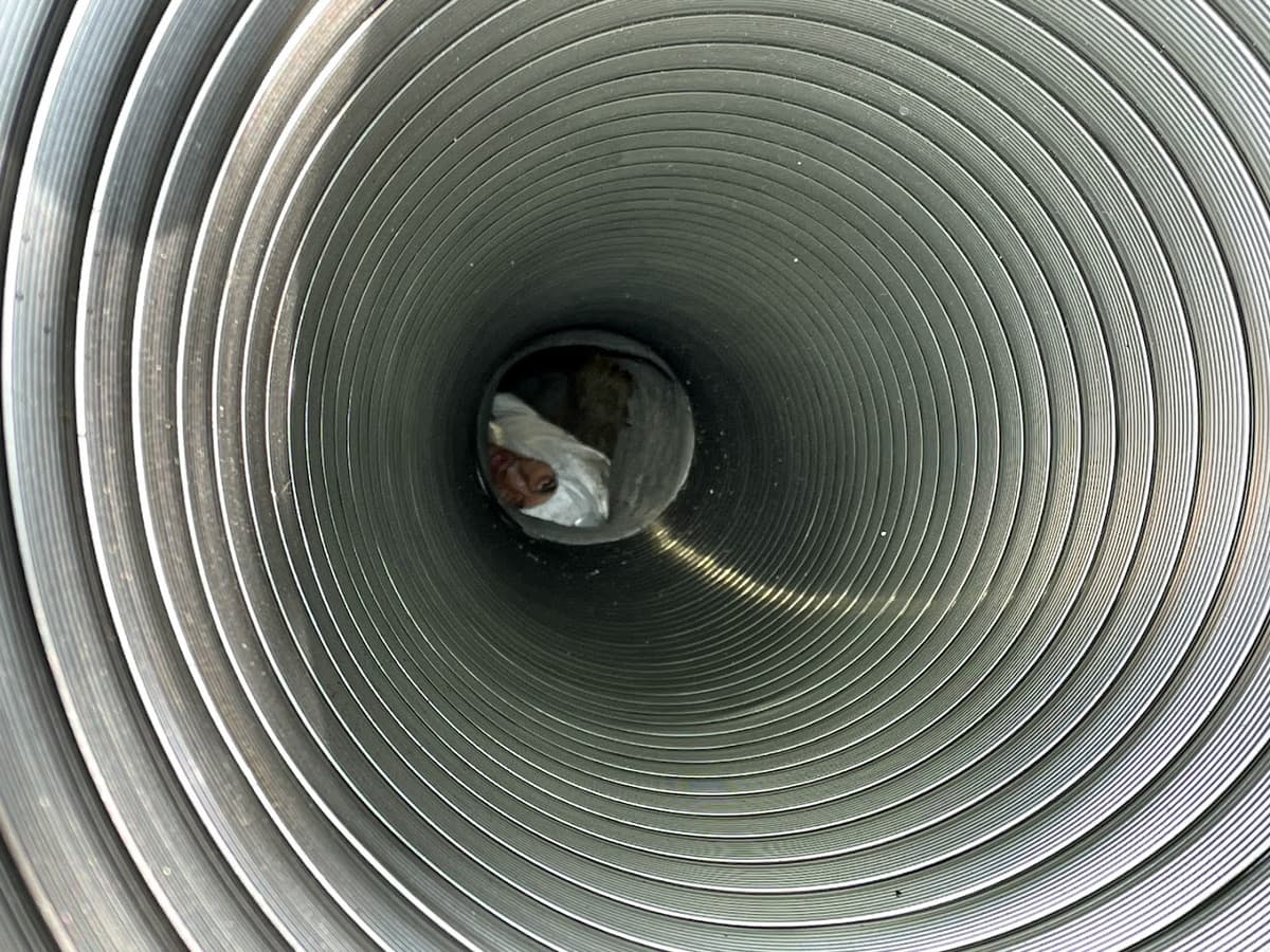 Chimney Bear thumbnail 3