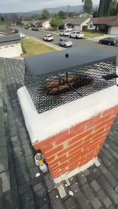 Cali Clean Chimney Services. chimney services work photo 6 - Professional chimney cleaning and repair in Santa Rosa, California