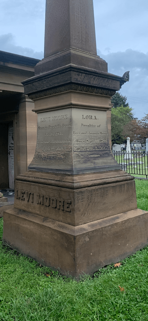 SF Restoration thumbnail 2