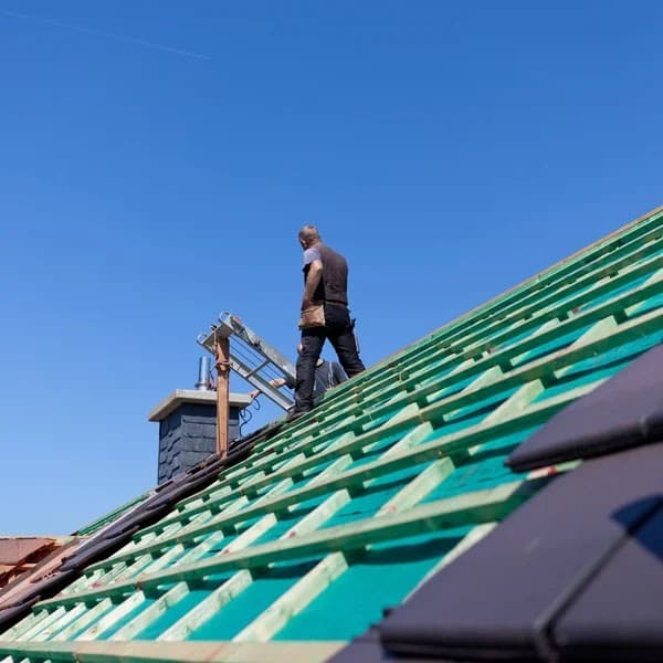Biesterfield Chimney Sweeps Care - Professional chimney cleaning, inspection and repair services in Elk Grove Village, Illinois
