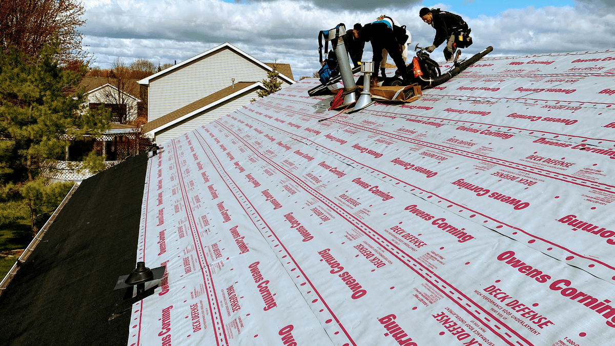 Modern Exterior Roofing thumbnail 4