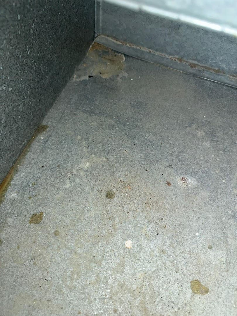 Shine Ducts Air Duct Cleaning & Chimney Sweep chimney services work photo 6 - Professional chimney cleaning and repair in Boston, Massachusetts