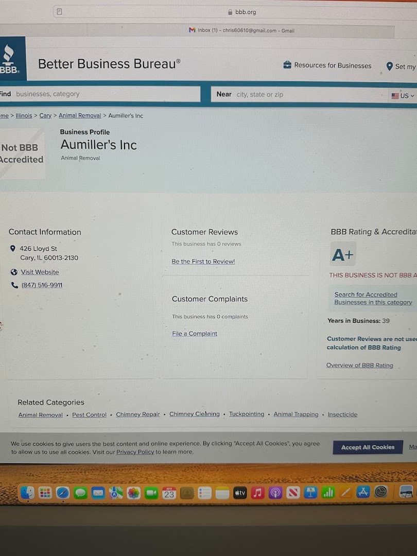 Aumiller's Inc chimney services work photo 6 - Professional chimney cleaning and repair in Cary, Illinois