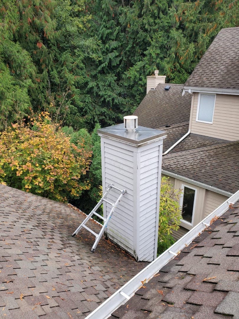Seattle chimney services thumbnail 4