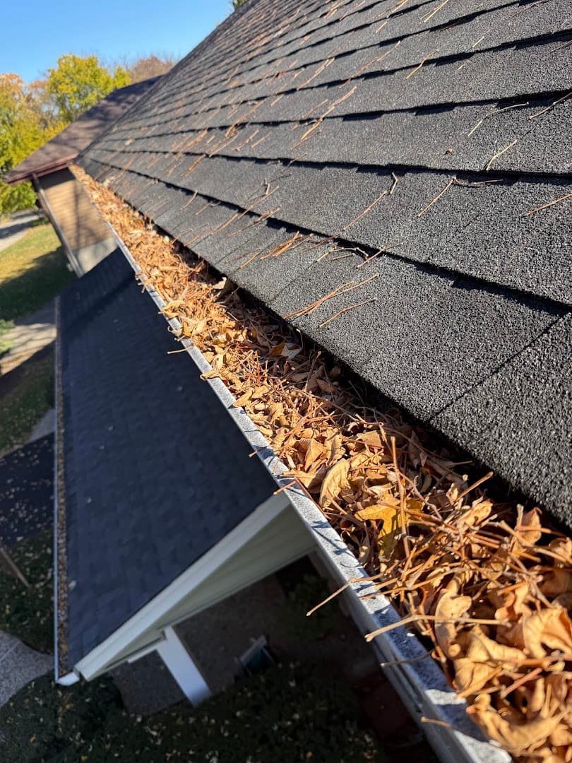 Chimney Monkey thumbnail 4