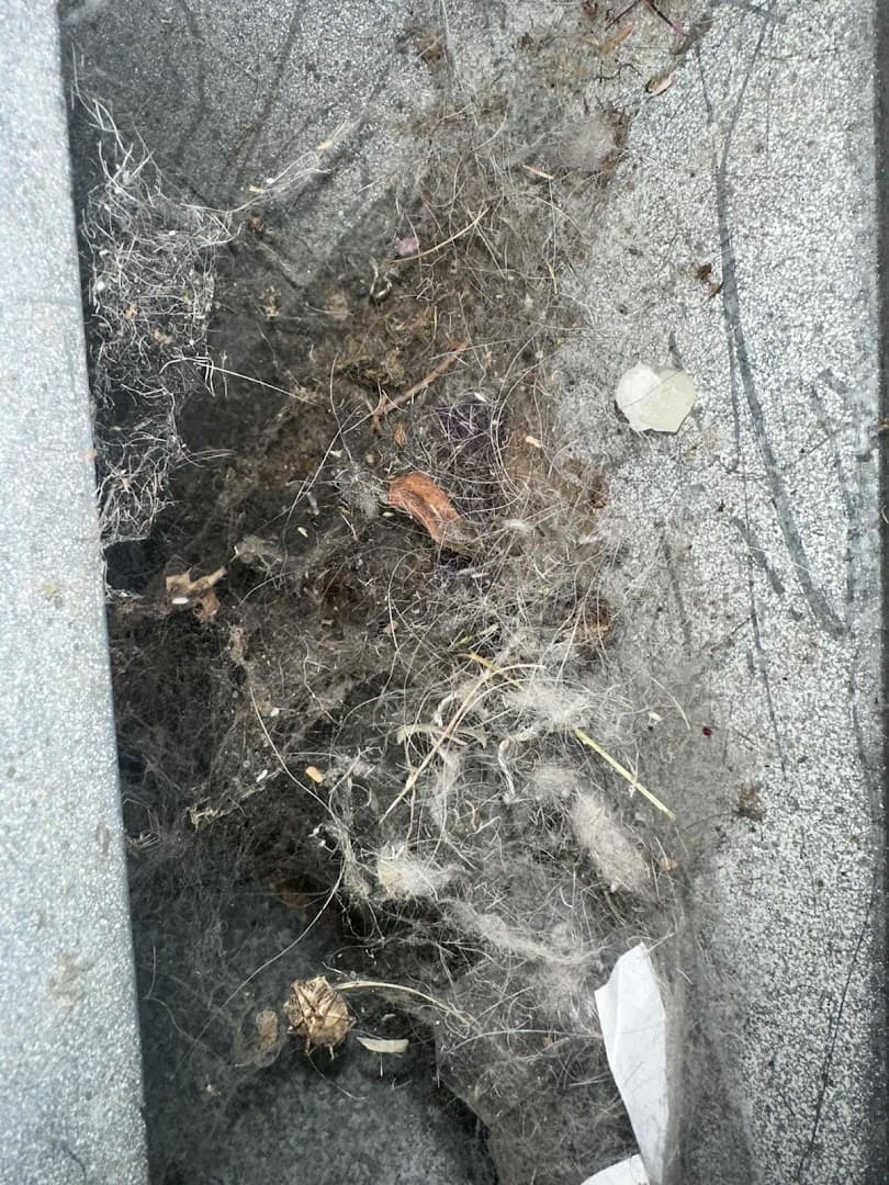 Shine Ducts Air Duct Cleaning & Chimney Sweep thumbnail 3