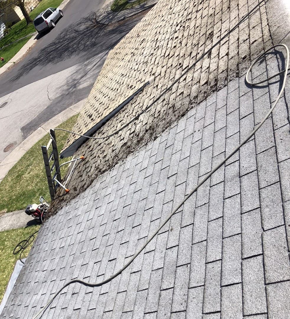 Mr. Chimney Roof Cleaning thumbnail 4