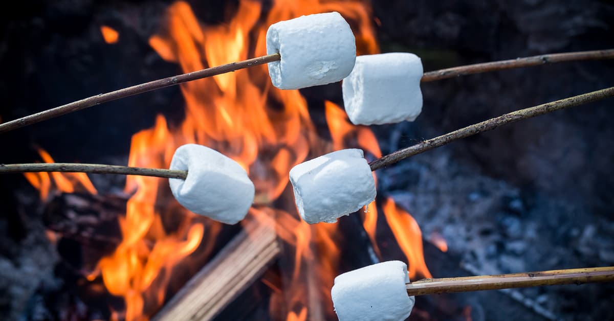 Midtown Chimney Sweeps thumbnail 2