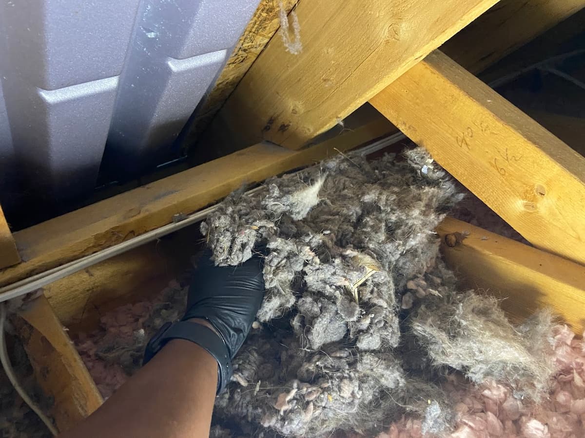 Copeland Central LLC chimney services work photo 5 - Professional chimney cleaning and repair in Marietta, Georgia