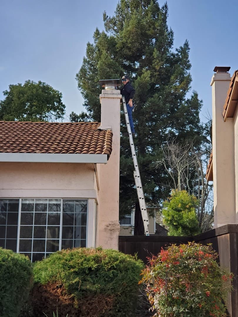 Ashes to Ashes thumbnail 3