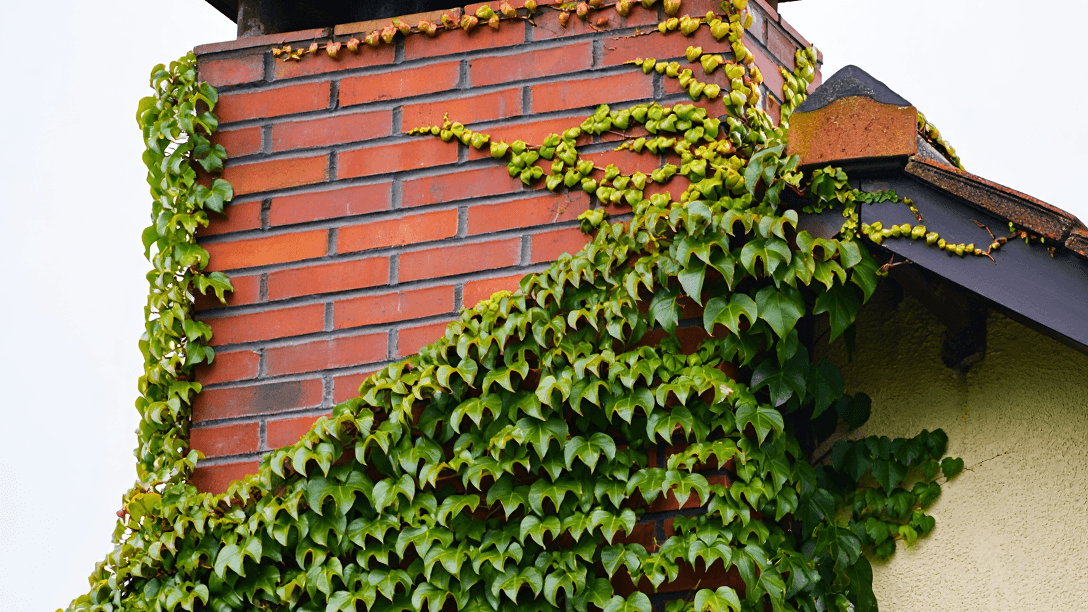 Deluxe Worcester Chimney Sweeps - Professional chimney cleaning, inspection and repair services in Worcester, Massachusetts