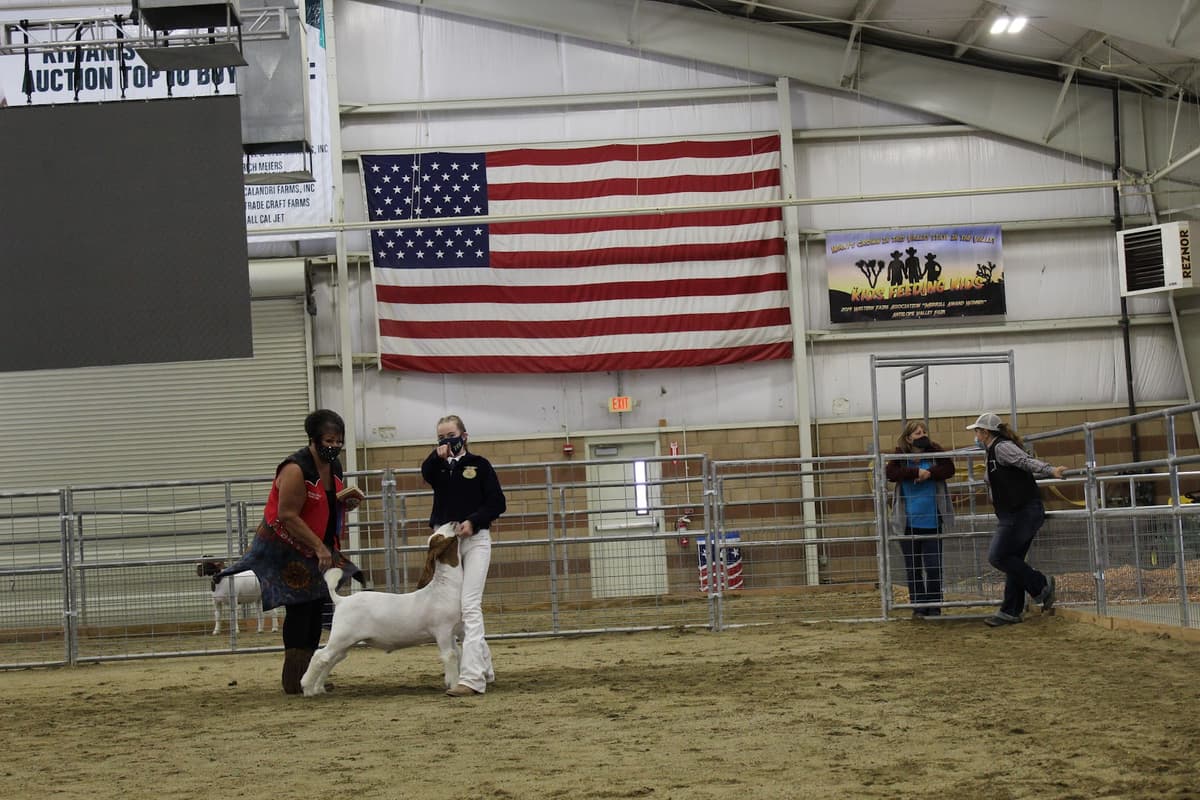 The Chimney Sweep - Professional chimney cleaning, inspection and repair services in Rosamond, California
